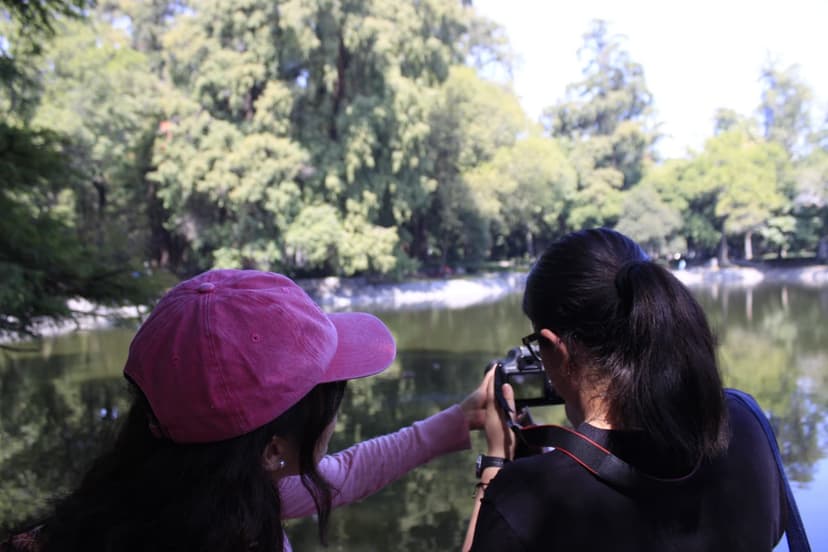 Conexión Cromática