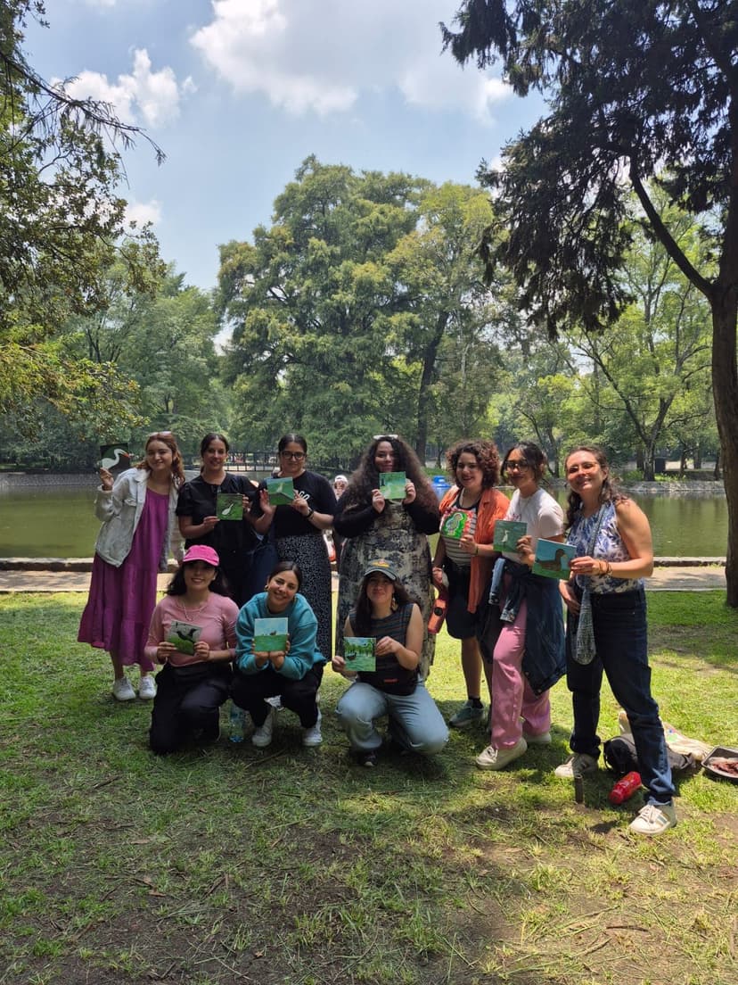 Conexión Cromática