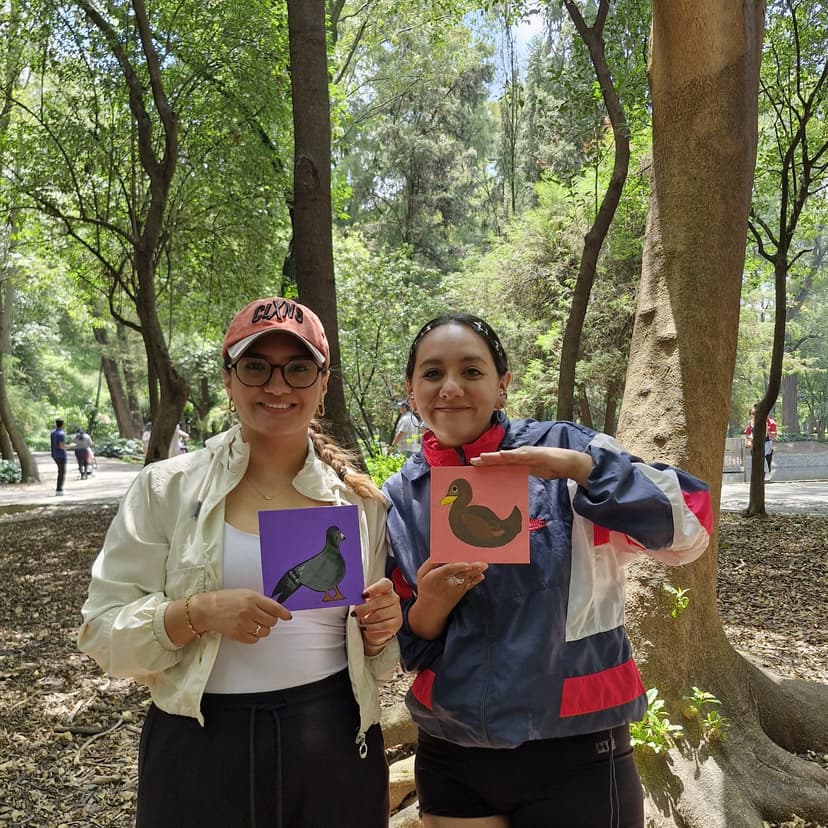 Conexión Cromática